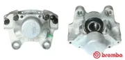 Bremssattel hinter der Achse Hinterachse links BREMBO F 59 090