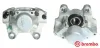 Bremssattel hinter der Achse Hinterachse rechts BREMBO F 59 091