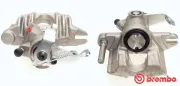 Bremssattel hinter der Achse Hinterachse rechts BREMBO F 59 111