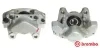 Bremssattel hinter der Achse Hinterachse rechts BREMBO F 59 115
