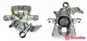 Bremssattel hinter der Achse Hinterachse rechts BREMBO F 59 125