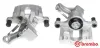 Bremssattel hinter der Achse Hinterachse rechts BREMBO F 59 129