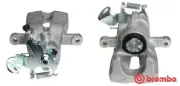 Bremssattel hinter der Achse Hinterachse rechts BREMBO F 59 135