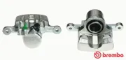 Bremssattel hinter der Achse Hinterachse rechts BREMBO F 59 163
