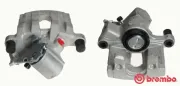 Bremssattel hinter der Achse Hinterachse rechts BREMBO F 59 171