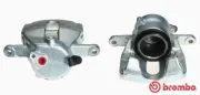 Bremssattel vor der Achse Vorderachse rechts BREMBO F 59 183