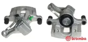 Bremssattel hinter der Achse Hinterachse rechts BREMBO F 59 205