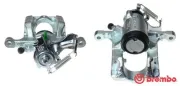 Bremssattel hinter der Achse Hinterachse rechts BREMBO F 59 209