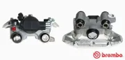 Bremssattel hinter der Achse Hinterachse rechts BREMBO F 61 075