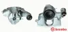 Bremssattel vor der Achse Vorderachse rechts BREMBO F 61 139