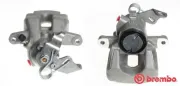 Bremssattel hinter der Achse Hinterachse rechts BREMBO F 61 167