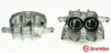 Bremssattel vor der Achse Vorderachse rechts BREMBO F 61 249