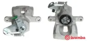 Bremssattel hinter der Achse Hinterachse rechts BREMBO F 68 071