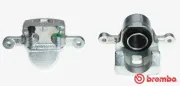 Bremssattel hinter der Achse Hinterachse rechts BREMBO F 77 001