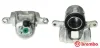 Bremssattel oben Vorderachse rechts BREMBO F 79 017