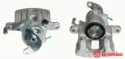 Bremssattel vor der Achse Hinterachse rechts BREMBO F 83 177