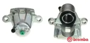 Bremssattel hinter der Achse Hinterachse rechts BREMBO F 83 291
