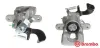Bremssattel hinter der Achse Hinterachse rechts BREMBO F 83 317