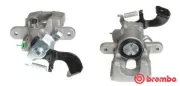 Bremssattel hinter der Achse Hinterachse rechts BREMBO F 83 317
