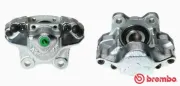 Bremssattel hinter der Achse Vorderachse rechts BREMBO F 85 023