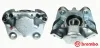 Bremssattel hinter der Achse Vorderachse rechts BREMBO F 85 037