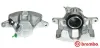 Bremssattel hinter der Achse Vorderachse rechts BREMBO F 85 071