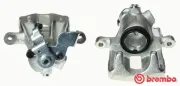 Bremssattel hinter der Achse Hinterachse rechts BREMBO F 85 083