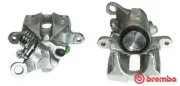 Bremssattel vor der Achse Hinterachse rechts BREMBO F 85 113