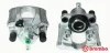 Bremssattel vor der Achse Hinterachse links BREMBO F 85 184
