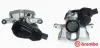 Bremssattel vor der Achse Hinterachse rechts BREMBO F 85 285 Bild Bremssattel vor der Achse Hinterachse rechts BREMBO F 85 285