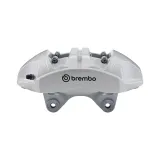 Bremssattel Vorderachse BREMBO F AB 072