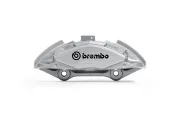 Bremssattel Vorderachse BREMBO F AL E12
