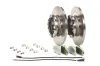 Bremsensatz, Scheibenbremse Hinterachse BREMBO KT 10 018 Bild Bremsensatz, Scheibenbremse Hinterachse BREMBO KT 10 018