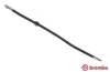 Bremsschlauch Vorderachse links rechts BREMBO T 06 010