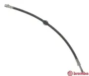 Bremsschlauch Vorderachse links rechts BREMBO T 06 012