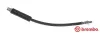 Bremsschlauch Hinterachse links rechts BREMBO T 06 018