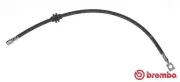 Bremsschlauch Vorderachse links rechts BREMBO T 06 027