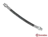 Bremsschlauch Hinterachse innen links rechts BREMBO T 06 031