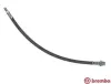 Bremsschlauch Hinterachse links rechts BREMBO T 06 047
