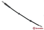 Bremsschlauch Vorderachse links rechts BREMBO T 06 053