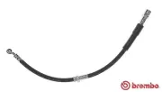 Bremsschlauch Vorderachse links BREMBO T 15 017