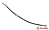 Bremsschlauch Vorderachse links rechts BREMBO T 16 023