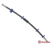 Bremsschlauch Vorderachse links rechts BREMBO T 23 010