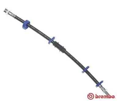 Bremsschlauch Vorderachse links rechts BREMBO T 23 010 Bild Bremsschlauch Vorderachse links rechts BREMBO T 23 010