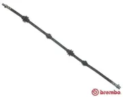 Bremsschlauch Vorderachse links rechts BREMBO T 23 037