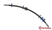 Bremsschlauch Vorderachse links BREMBO T 23 051