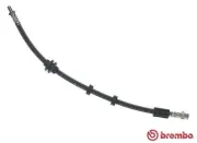Bremsschlauch Hinterachse links rechts BREMBO T 23 208