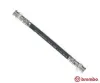 Bremsschlauch Hinterachse links rechts BREMBO T 23 212