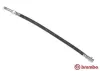 Bremsschlauch Hinterachse links rechts BREMBO T 24 023