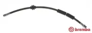 Bremsschlauch Vorderachse links rechts BREMBO T 24 127